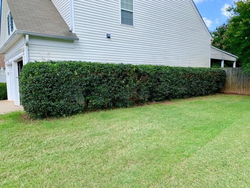 Top-rated outdoor landscaping for year-round maintenance across Laurens, SC - Green X Landscaping