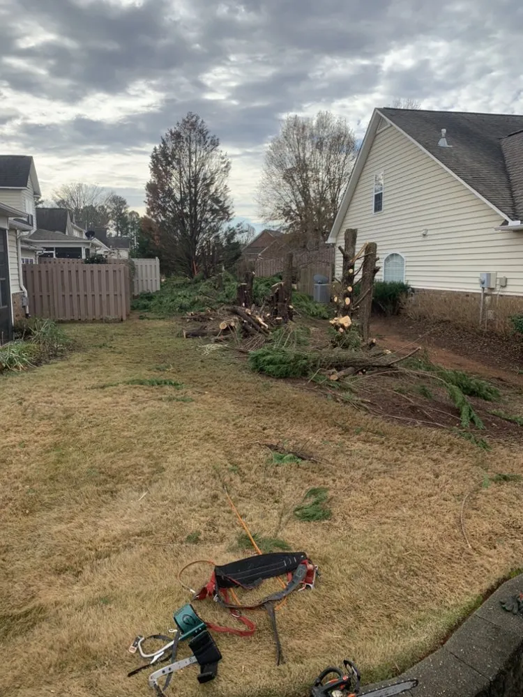 Expert landscape design in Laurens, SC by Green X Landscaping