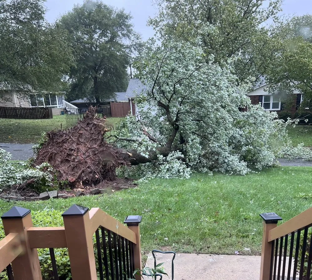 Expert residential landscaping in Laurens, SC - Green X Landscaping