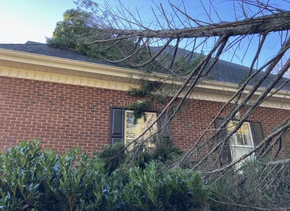 Professional landscaping services for year-round maintenance in Laurens, SC by Green X Landscaping