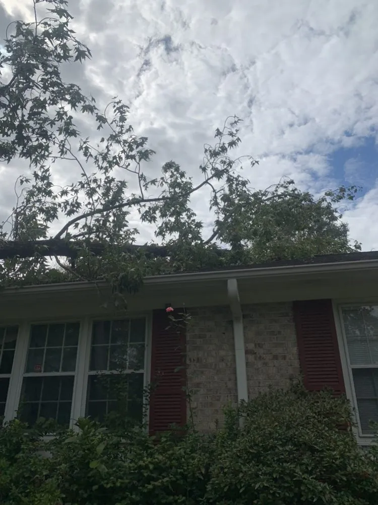 Top-rated residential landscaping with custom design across Laurens, SC - Green X Landscaping