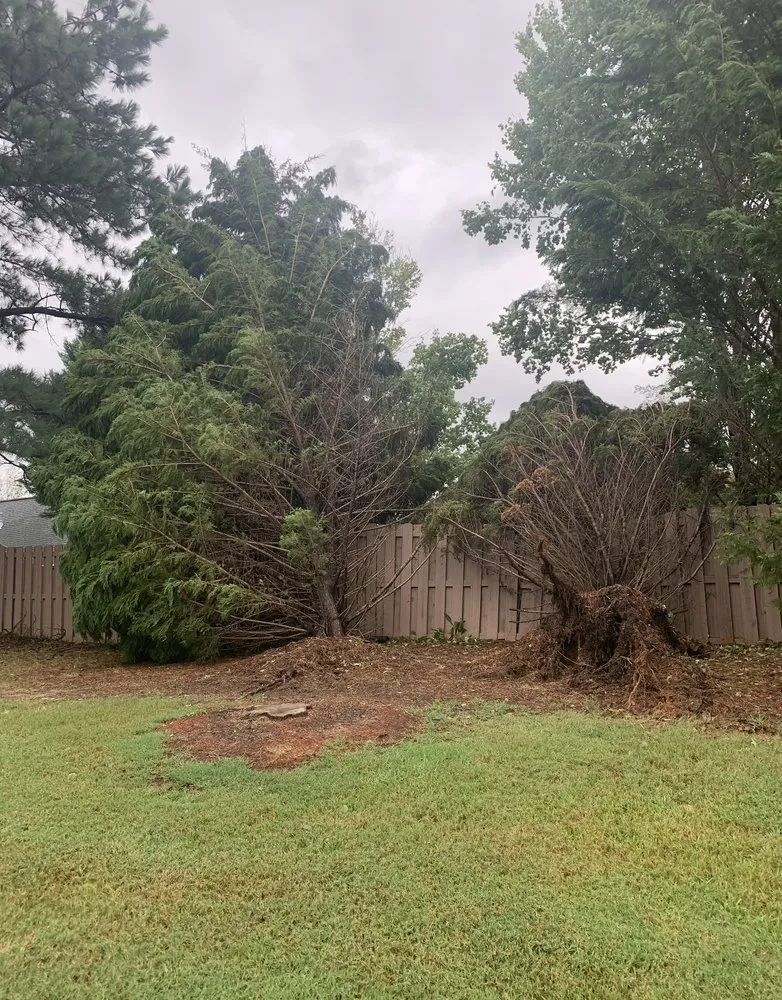 Reliable landscape installation for outdoor upgrades in Laurens, SC by Green X Landscaping