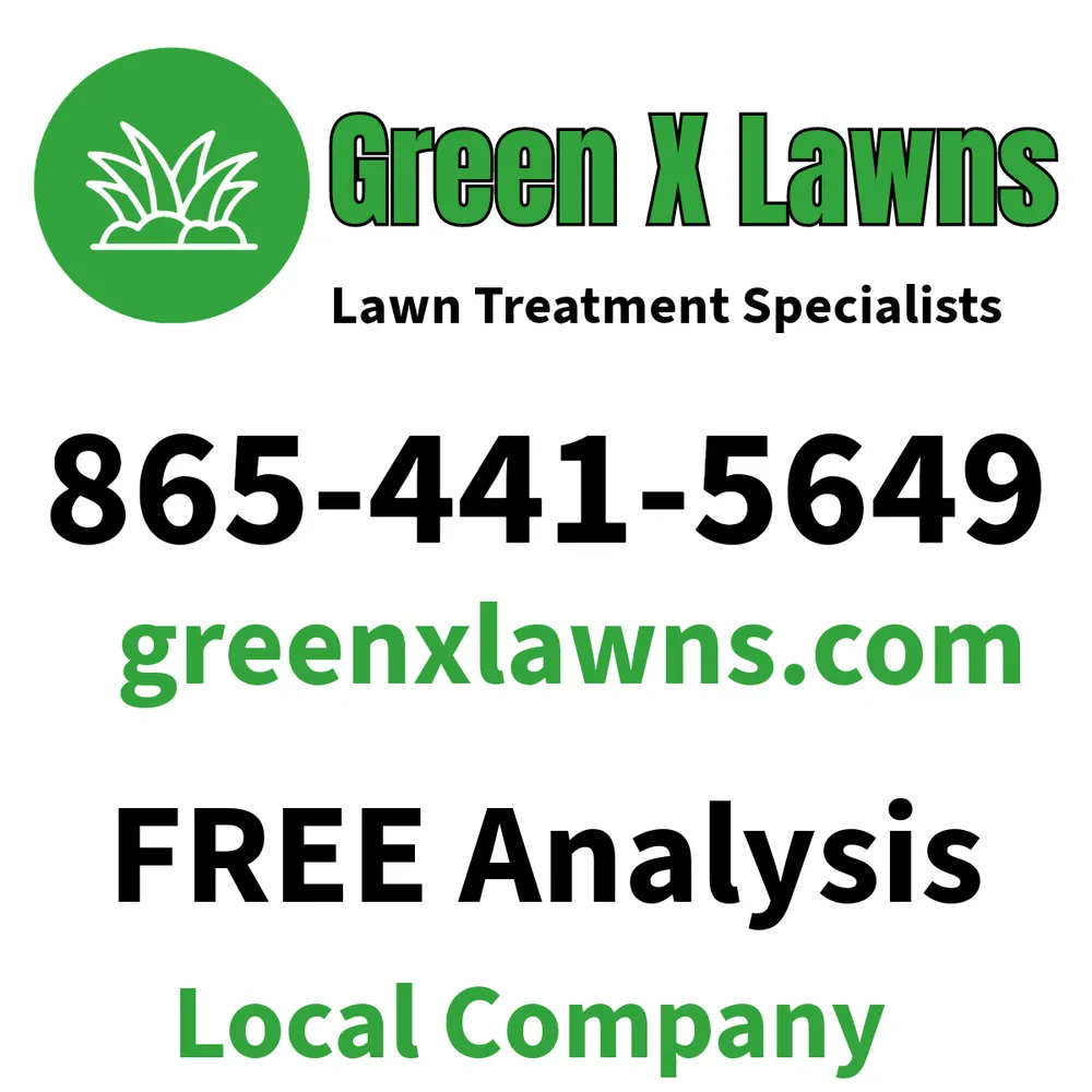 Expert residential landscaping for residential properties in Dandridge, TN by Green X Lawns