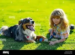 Top-rated yard maintenance in Dandridge, TN - Green X Lawns