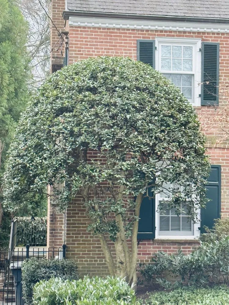 Affordable landscape installation with custom design across Potomac, MD - Green Yard Keeper