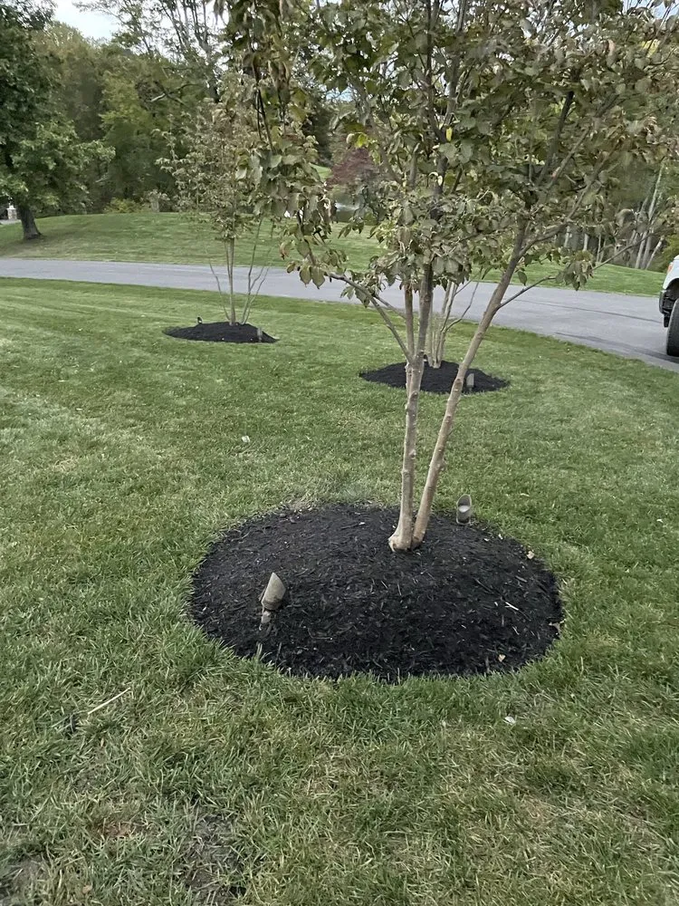 Professional garden landscaping in Potomac, MD - Green Yard Keeper