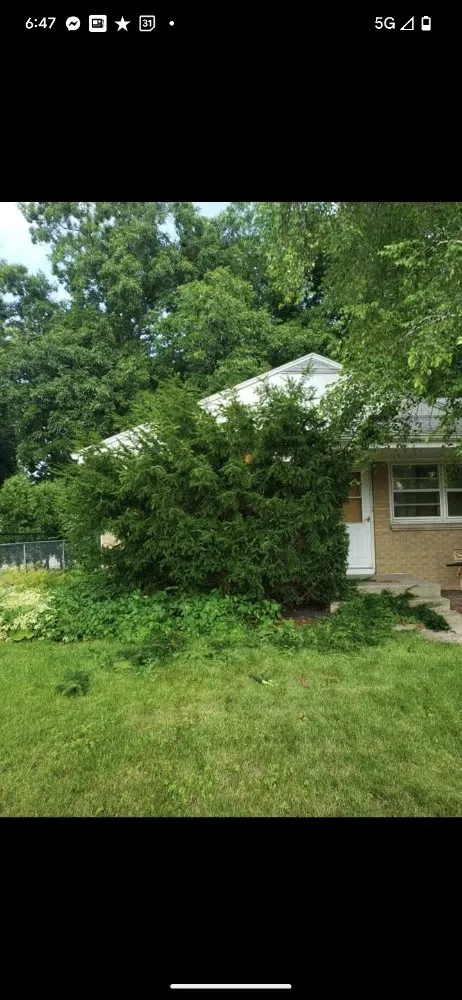 Trusted lawn mowing service in Milwaukee, WI - Green Yard Landscape & Lawncare