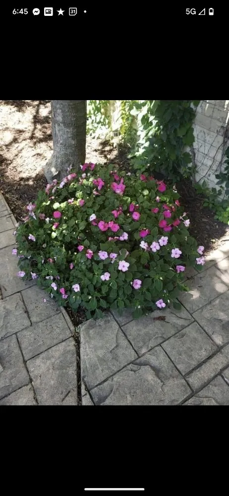 Trusted landscape design for outdoor upgrades across Milwaukee, WI - Green Yard Landscape & Lawncare