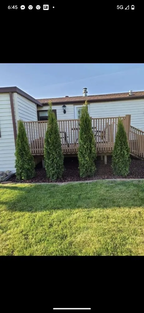 Local yard cleanup service experts serving Milwaukee, WI - Green Yard Landscape & Lawncare