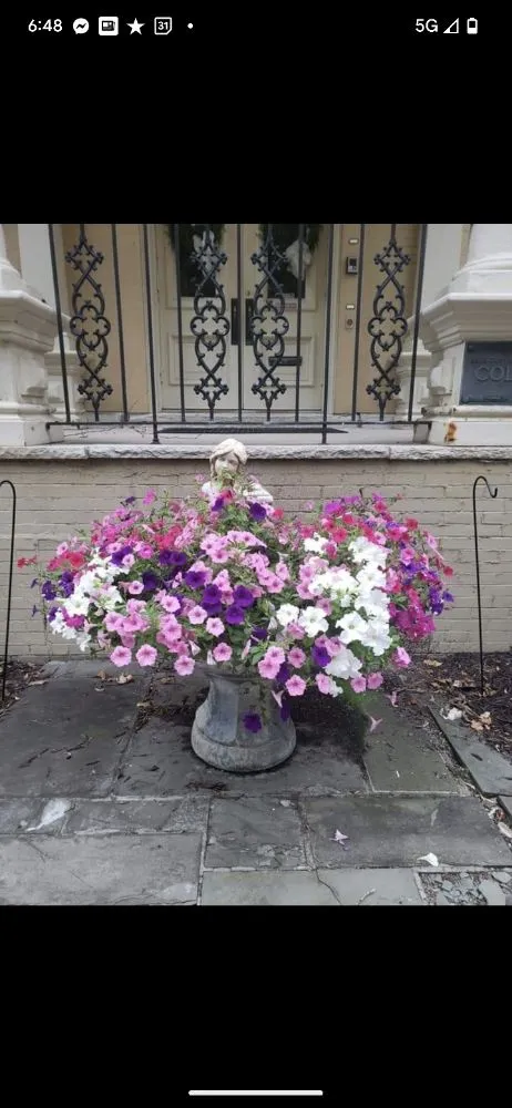 Affordable landscape installation experts serving Milwaukee, WI - Green Yard Landscape & Lawncare