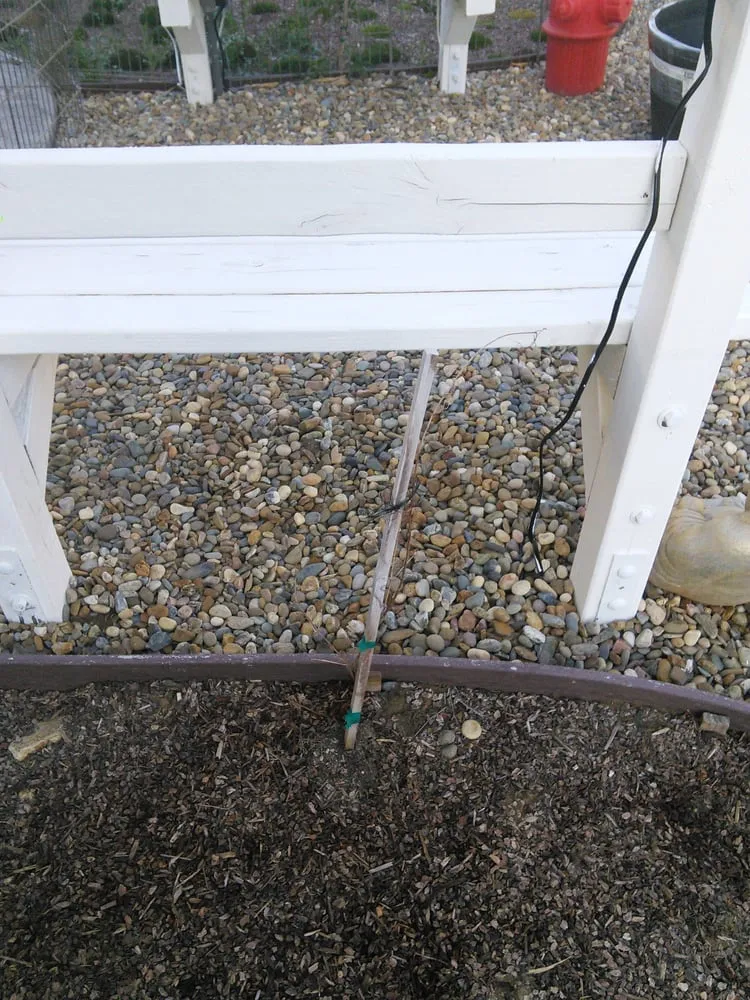 Trusted lawn care service for residential properties in Vallejo, CA by Green Yard Landscaping