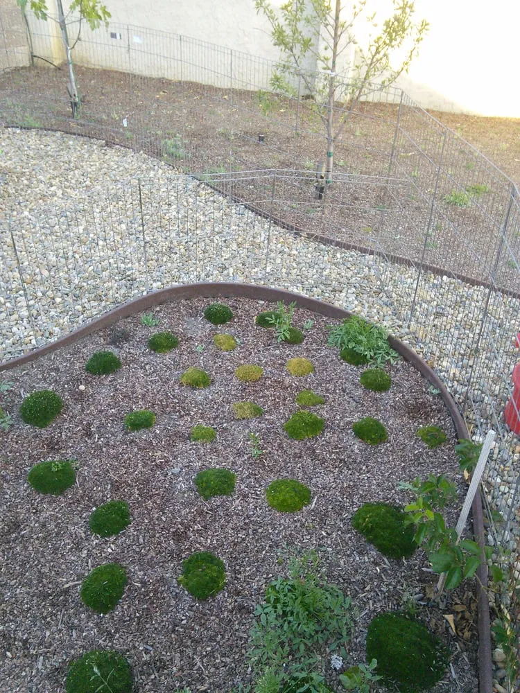 Reliable lawn mowing service in Vallejo, CA by Green Yard Landscaping