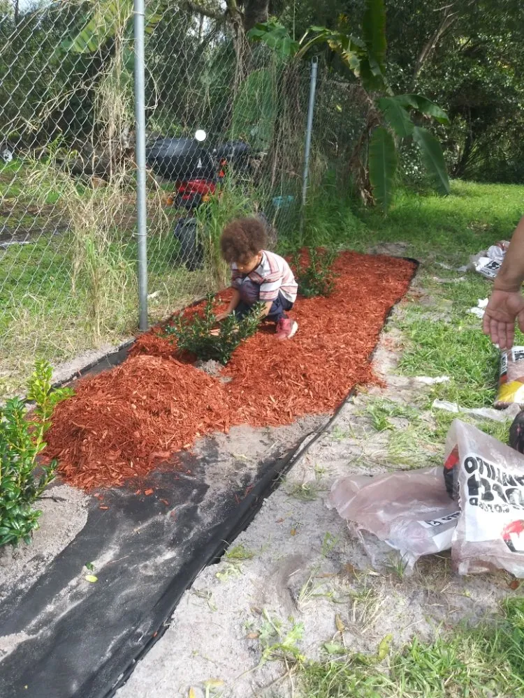 Reliable landscape design for residential properties in Sanford, FL by Green Yard Lawn and Home Improvement