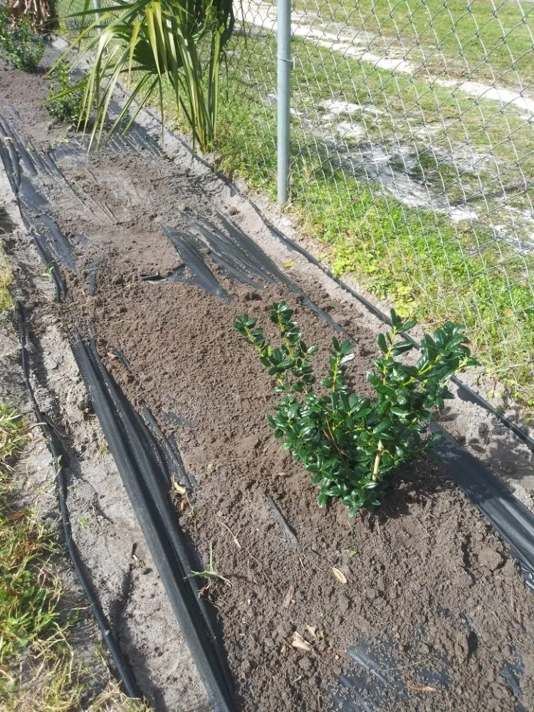 Local outdoor landscaping near you in Sanford, FL by Green Yard Lawn and Home Improvement