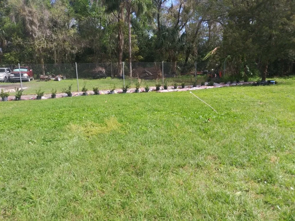 Professional garden landscaping for year-round maintenance across Sanford, FL - Green Yard Lawn and Home Improvement