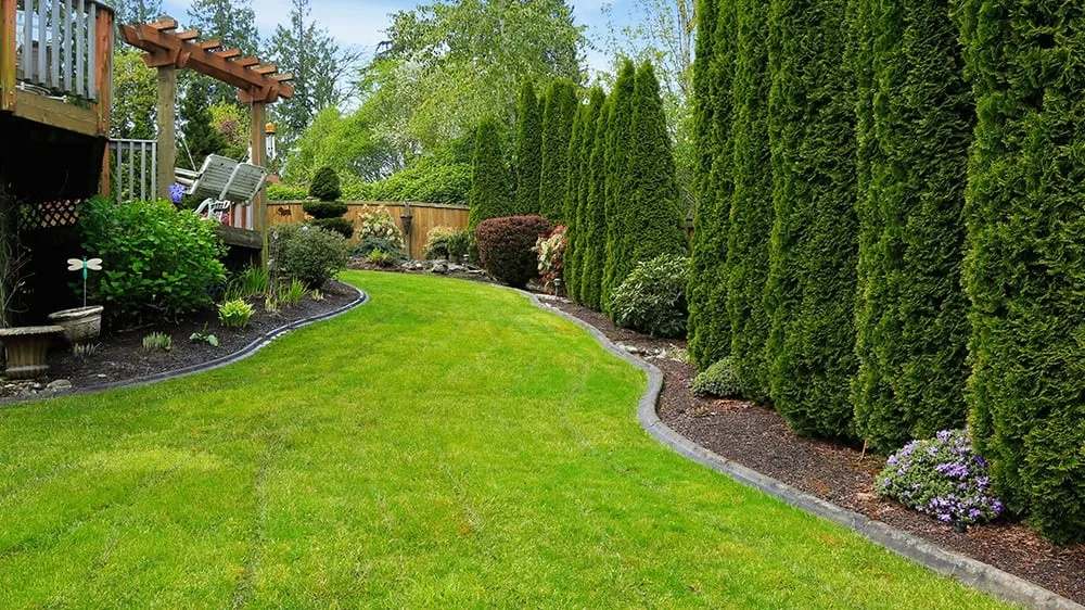 Reliable landscape design in Keizer, OR by Green Yard Maintenance