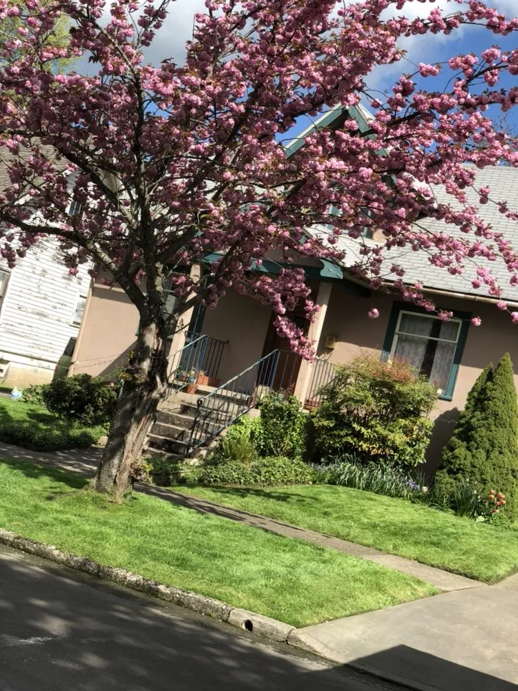 Expert landscape design for residential properties across Keizer, OR - Green Yard Maintenance