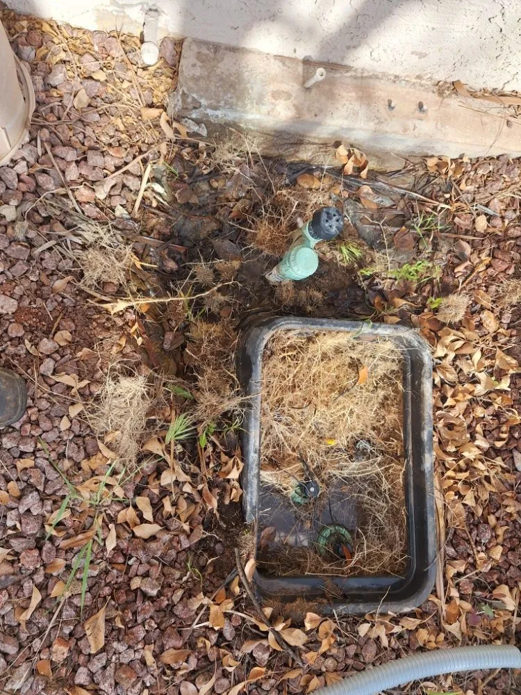 Local landscaping services experts serving Las Vegas, NV - Green Yard Service