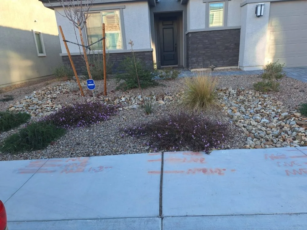 Reliable garden landscaping in Las Vegas, NV by Green Yard Service