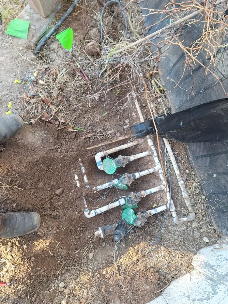 Custom residential landscaping in Las Vegas, NV by Green Yard Service