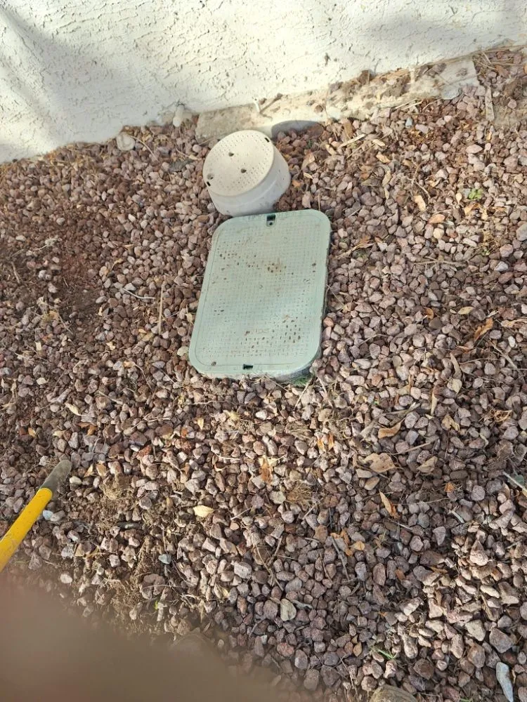 Professional yard cleanup service experts serving Las Vegas, NV - Green Yard Service