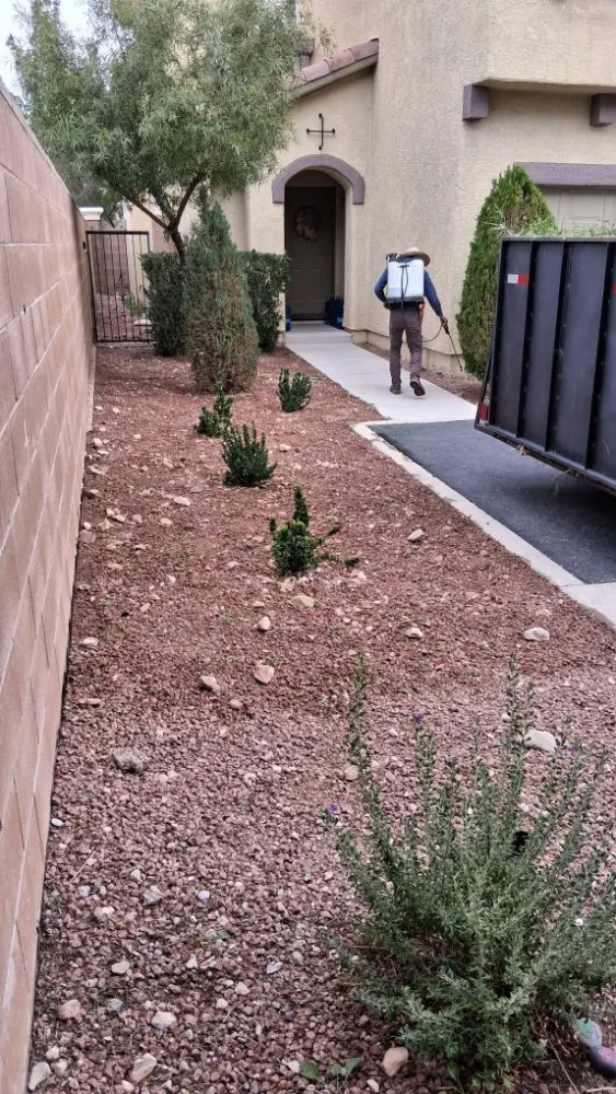 Trusted lawn care service experts serving Las Vegas, NV - Green Yard Service