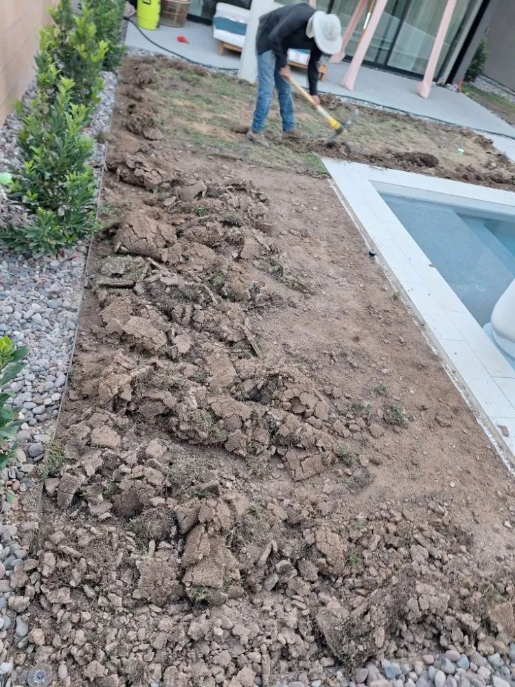 Expert landscaping services with custom design across Las Vegas, NV - Green Yard Service