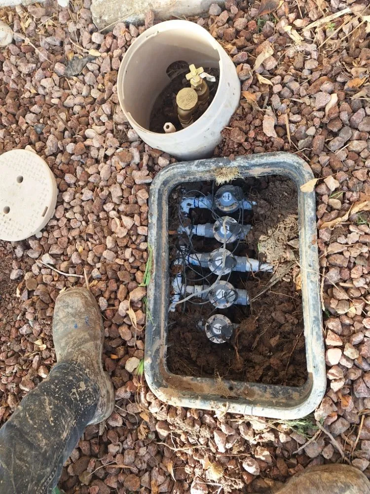 Expert landscaping services in Las Vegas, NV - Green Yard Service