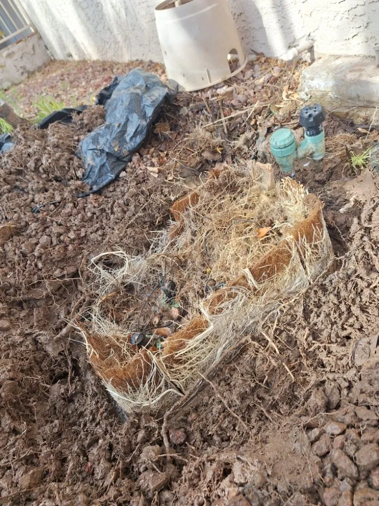 Local outdoor landscaping for homes in Las Vegas, NV by Green Yard Service