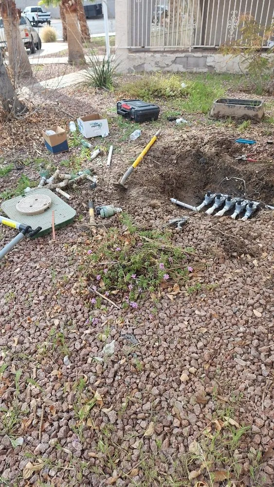 Trusted yard maintenance experts serving Las Vegas, NV - Green Yard Service