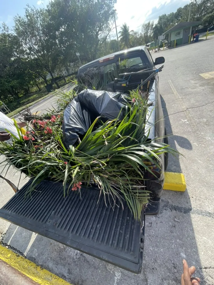 Top-rated garden landscaping in MIAMI, FL - Green Yards