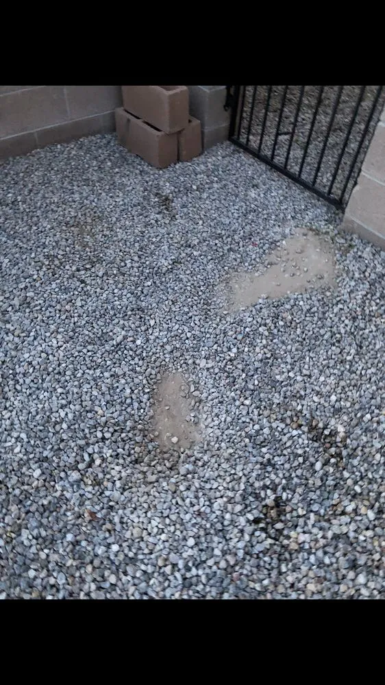 Affordable lawn mowing service for homes in Albuquerque, NM by Green Year Property Maintenance