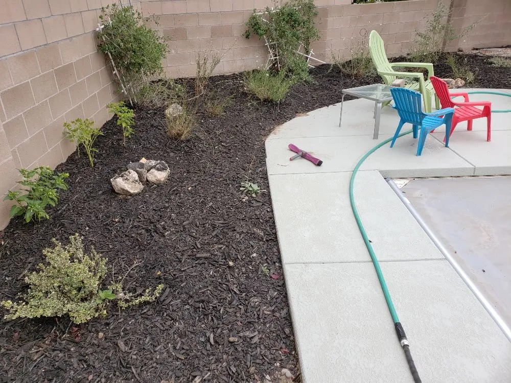 Local yard cleanup service experts serving Albuquerque, NM - Green Year Property Maintenance
