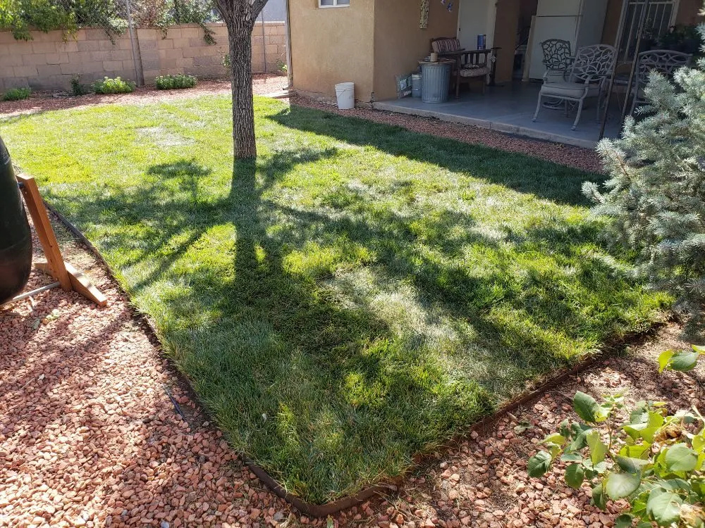 Reliable lawn mowing service in Albuquerque, NM - Green Year Property Maintenance