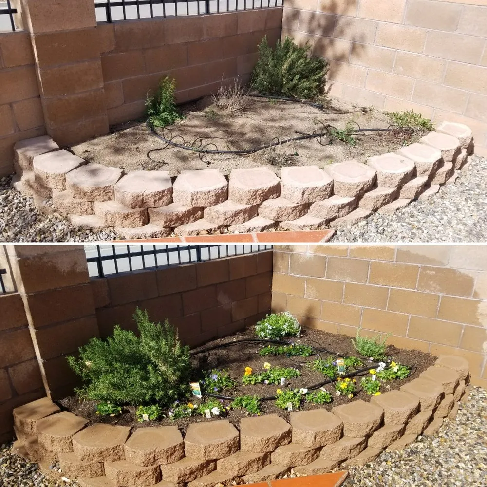Reliable yard maintenance with custom design in Albuquerque, NM by Green Year Property Maintenance