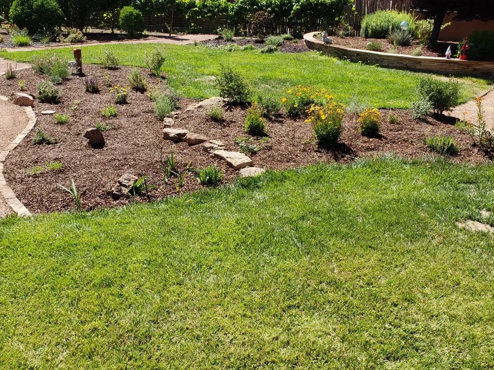Affordable landscape installation in Albuquerque, NM by Green Year Property Maintenance