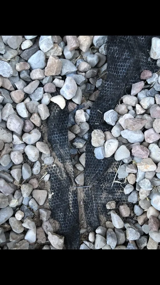 Reliable lawn care service for homes across Albuquerque, NM - Green Year Property Maintenance