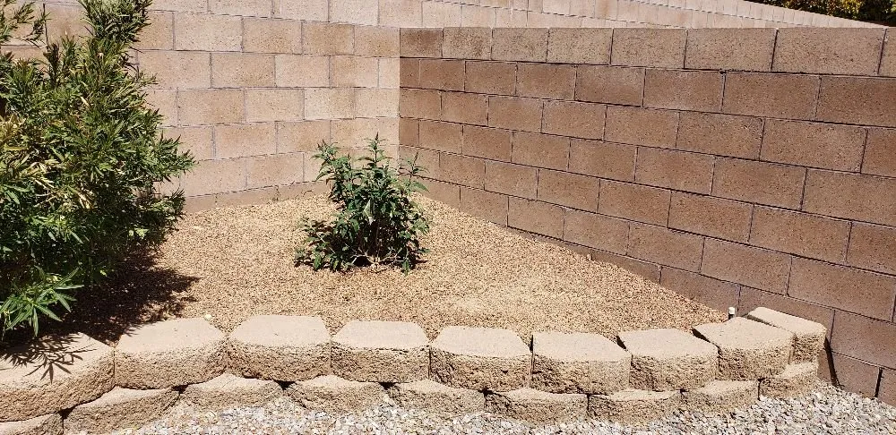 Affordable residential landscaping in Albuquerque, NM - Green Year Property Maintenance