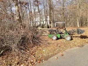 Top-rated garden landscaping in Roosevelt, NJ - Green Zebra Landscaping