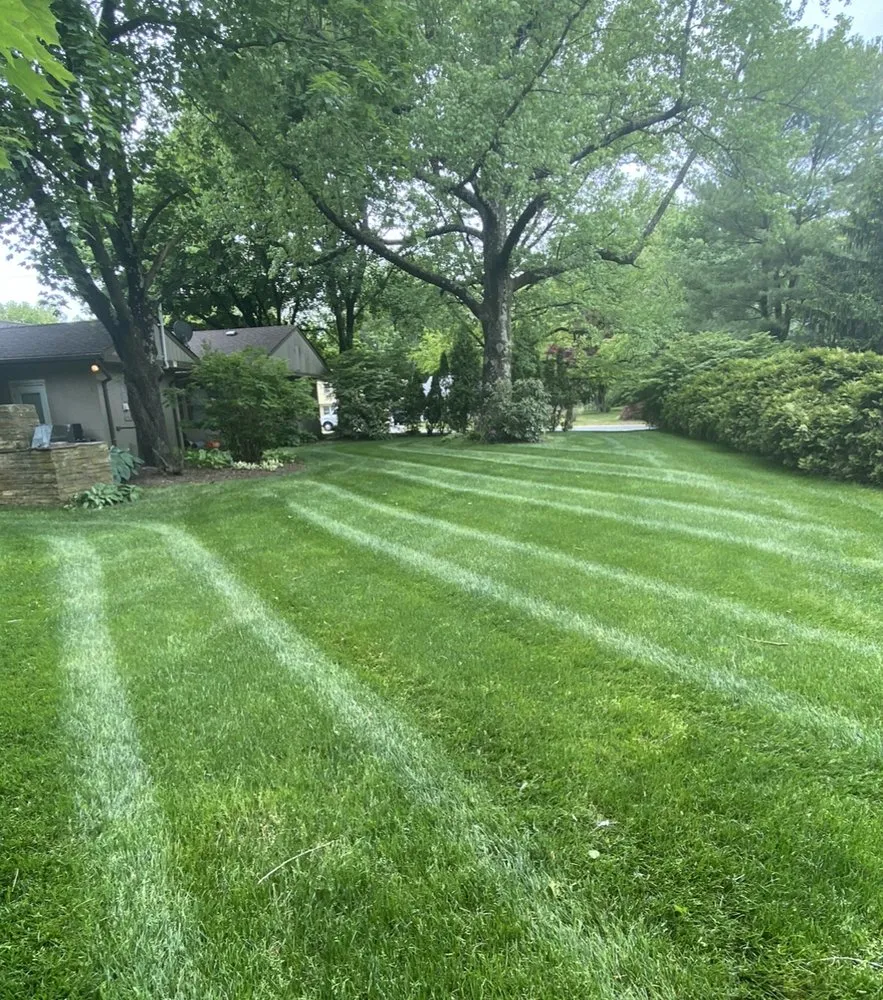 Affordable landscaping services experts serving Roosevelt, NJ - Green Zebra Landscaping