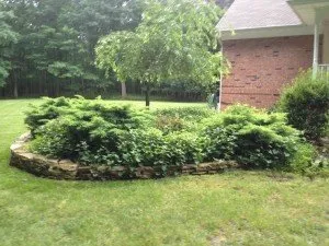 Trusted lawn mowing service in Roosevelt, NJ by Green Zebra Landscaping
