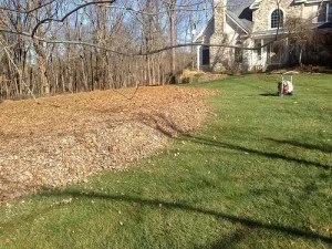 Reliable outdoor landscaping in Roosevelt, NJ - Green Zebra Landscaping