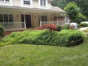Expert lawn mowing service in Roosevelt, NJ by Green Zebra Landscaping