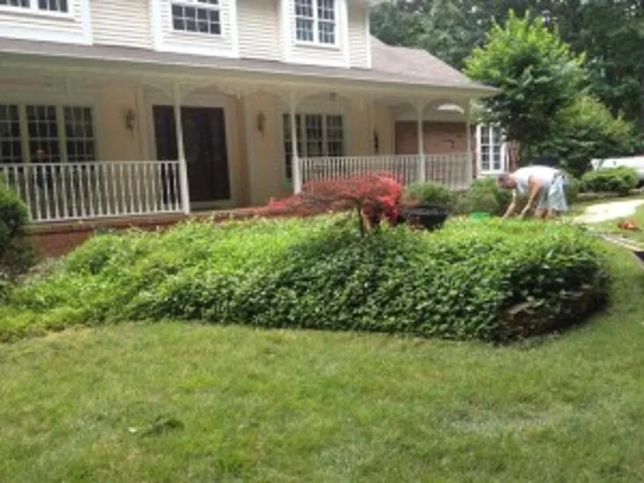 Top-rated yard cleanup service for year-round maintenance in Roosevelt, NJ by Green Zebra Landscaping