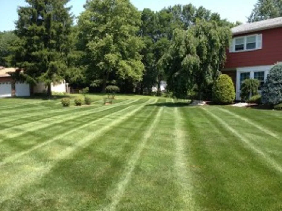 Reliable landscape design with custom design across Roosevelt, NJ - Green Zebra Landscaping