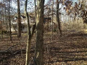 Professional lawn mowing service for year-round maintenance across Roosevelt, NJ - Green Zebra Landscaping
