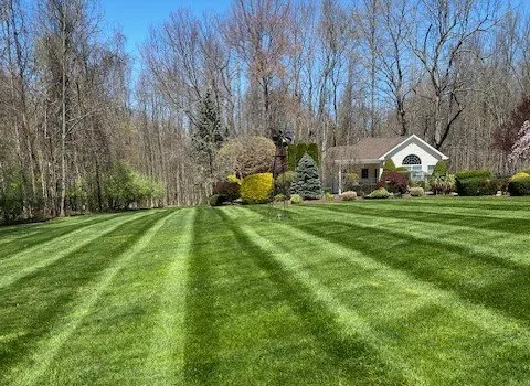 Custom yard maintenance in Roosevelt, NJ by Green Zebra Landscaping