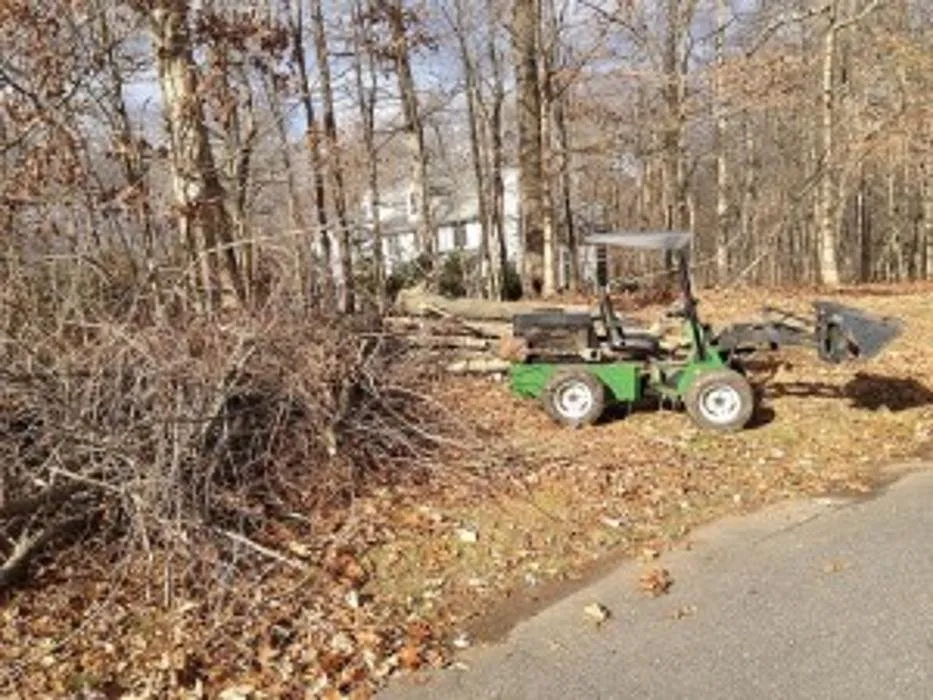 Trusted yard cleanup service for homes in Roosevelt, NJ by Green Zebra Landscaping