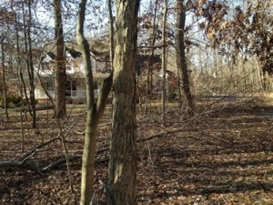 Local residential landscaping for beautiful yards in Roosevelt, NJ by Green Zebra Landscaping