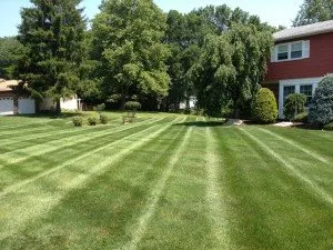 Professional garden landscaping for outdoor upgrades across Roosevelt, NJ - Green Zebra Landscaping